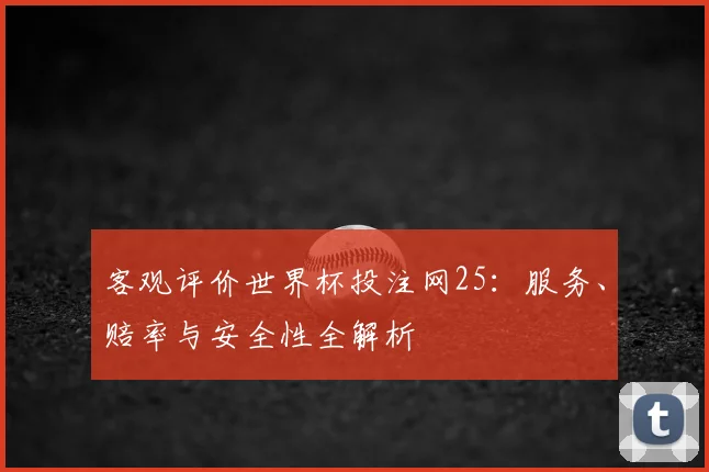 客观评价世界杯投注网25：服务、赔率与安全性全解析