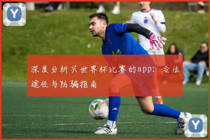 深度分析买世界杯比赛的app：合法途径与防骗指南