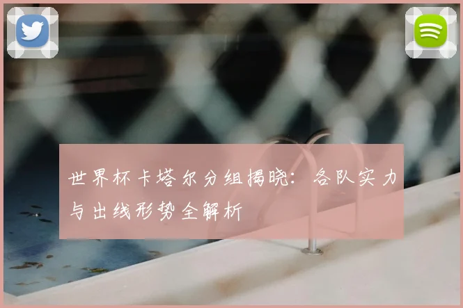 世界杯卡塔尔分组揭晓:各队实力与出线形势全解析
