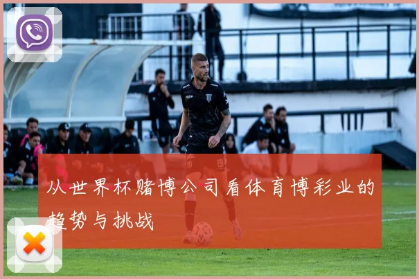 从世界杯赌博公司看体育博彩业的趋势与挑战