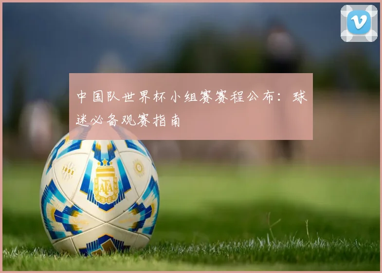 中国队世界杯小组赛赛程公布:球迷必备观赛指南