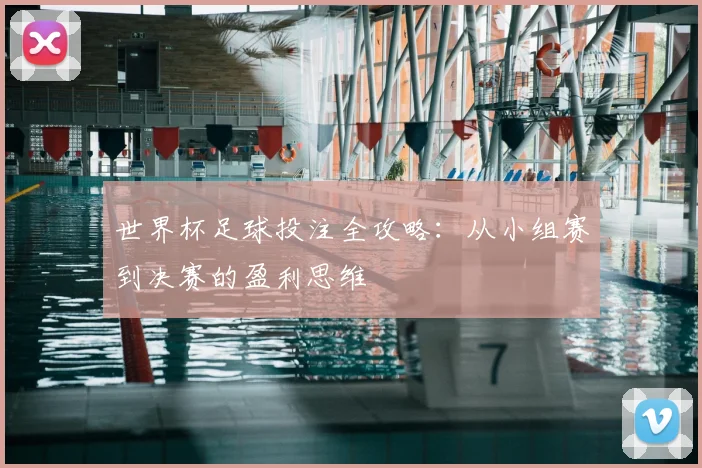 世界杯足球投注全攻略:从小组赛到决赛的盈利思维
