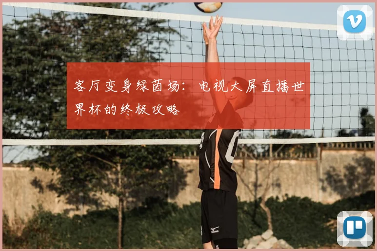 客厅变身绿茵场：电视大屏直播世界杯的终极攻略