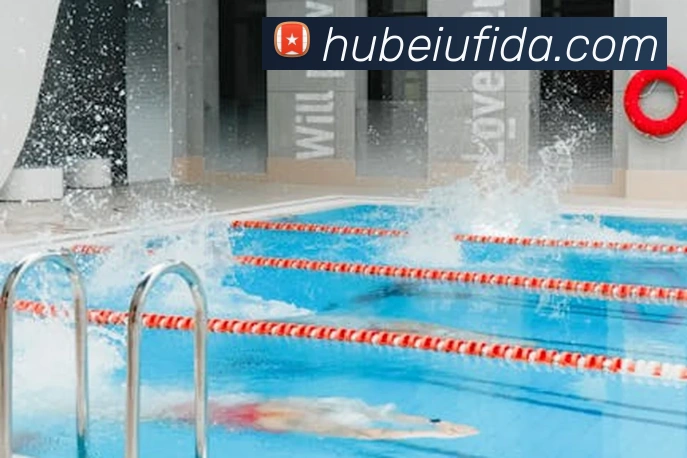 世界杯官方app平台生态图