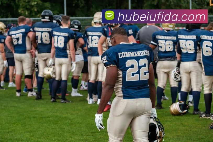 世界杯官方appAPP 封面图